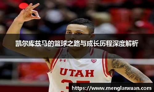 PA视讯官网