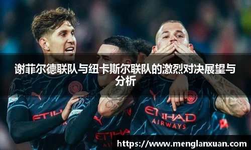 谢菲尔德联队与纽卡斯尔联队的激烈对决展望与分析